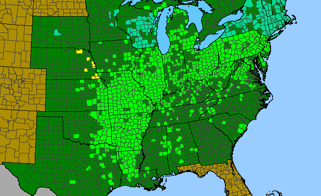 The range of Penstemon digitalis